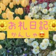 ヒメ日記 2025/11/01 01:16 投稿 あんず【人妻】 恵比寿コレクション　久留米本店