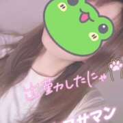 ヒメ日記 2025/09/02 11:17 投稿 大下　あみ ミセスサマンサPLUS