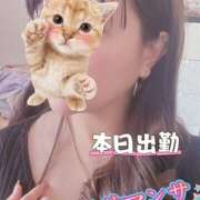 ヒメ日記 2025/11/07 14:39 投稿 大下　あみ ミセスサマンサPLUS