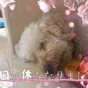 ヒメ日記 2025/12/07 19:17 投稿 大下　あみ ミセスサマンサPLUS