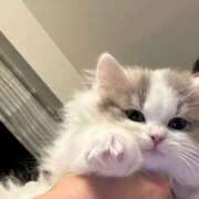 ヒメ日記 2025/10/20 23:26 投稿 れむ 極SPA（中洲）