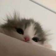 ヒメ日記 2025/10/24 03:46 投稿 れむ 極SPA（中洲）