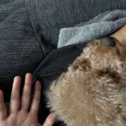 ヒメ日記 2025/09/26 12:54 投稿 かえで あるまぎ！