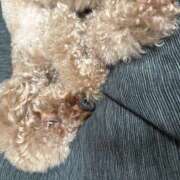 ヒメ日記 2025/10/03 11:57 投稿 かえで あるまぎ！