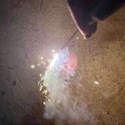 ヒメ日記 2025/10/09 11:50 投稿 かえで あるまぎ！