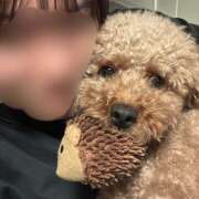 ヒメ日記 2025/10/10 12:21 投稿 かえで あるまぎ！