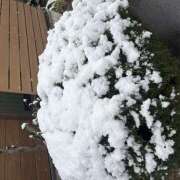 かえで しゅっっ あるまぎ！