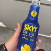 かえで しゅ！！ あるまぎ！