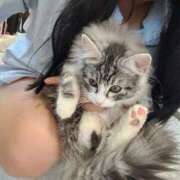 ヒメ日記 2025/08/13 22:19 投稿 あお【爆乳 ♡感度抜群美女】 Secret Service ～貴方とだけの秘密の無料オプション～