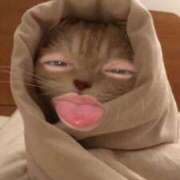 ヒメ日記 2025/09/09 22:32 投稿 らんまる ごほうびSPA 大阪店