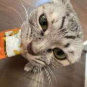 ヒメ日記 2025/09/11 23:02 投稿 らんまる ごほうびSPA 大阪店