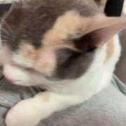 ヒメ日記 2025/11/22 20:42 投稿 らんまる ごほうびSPA 大阪店