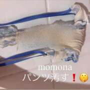 ももな（元ナース×潮吹き！ 嗅ぎたくなっちゃった？？？🫣♥️♥️ ハニービー（Honey Bee）