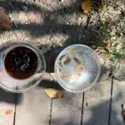 ヒメ日記 2025/09/03 09:02 投稿 純 出会い系人妻ネットワーク 渋谷〜目黒編