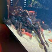 ヒメ日記 2025/09/18 14:21 投稿 純 出会い系人妻ネットワーク 渋谷〜目黒編