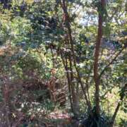 ヒメ日記 2025/09/19 13:41 投稿 純 出会い系人妻ネットワーク 渋谷〜目黒編