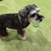 ヒメ日記 2025/09/28 16:50 投稿 純 出会い系人妻ネットワーク 渋谷〜目黒編