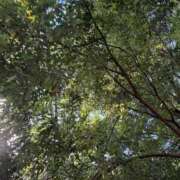 ヒメ日記 2025/10/13 10:22 投稿 純 出会い系人妻ネットワーク 渋谷〜目黒編