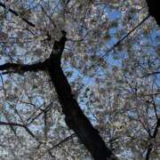 ヒメ日記 2026/04/03 17:41 投稿 純 出会い系人妻ネットワーク 渋谷〜目黒編