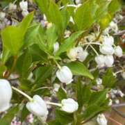 ヒメ日記 2026/04/09 18:03 投稿 純 出会い系人妻ネットワーク 渋谷〜目黒編