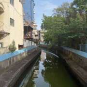 ヒメ日記 2026/04/26 16:22 投稿 純 出会い系人妻ネットワーク 渋谷〜目黒編