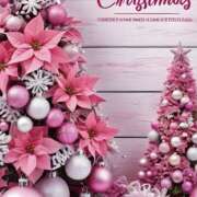 ヒメ日記 2025/12/24 23:26 投稿 かりな 諭吉で2度ヌキ！