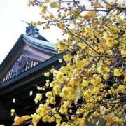 ヒメ日記 2026/02/02 10:20 投稿 ひさこ 熟女の風俗最終章 蒲田店