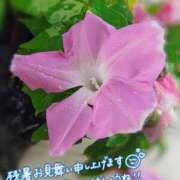 ヒメ日記 2026/08/15 13:40 投稿 ひさこ 熟女の風俗最終章 蒲田店