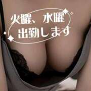 ヒメ日記 2026/10/05 11:01 投稿 ひさこ 熟女の風俗最終章 蒲田店