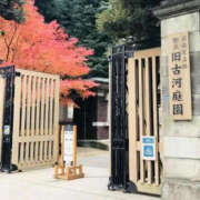 ヒメ日記 2026/10/28 09:52 投稿 ひさこ 熟女の風俗最終章 蒲田店