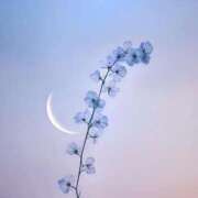 ヒメ日記 2025/10/06 12:07 投稿 なつ フェアリー【都城店】