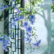 ヒメ日記 2025/10/16 09:47 投稿 なつ フェアリー【都城店】