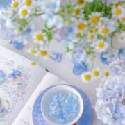 ヒメ日記 2025/11/05 15:23 投稿 なつ フェアリー【都城店】