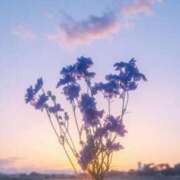 ヒメ日記 2025/11/11 19:47 投稿 なつ フェアリー【都城店】