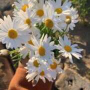 ヒメ日記 2025/08/31 13:47 投稿 ちか フェアリー【都城店】