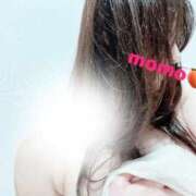 もも 甘えん坊？ 金瓶梅(きんぺいぱい)(雄琴)