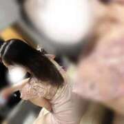 ヒメ日記 2025/12/29 07:44 投稿 もも 金瓶梅(きんぺいぱい)(雄琴)