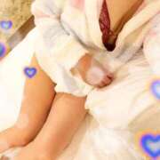 明智 かな アライグマ🦝 エテルナ京都