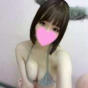 ヒメ日記 2025/08/28 20:41 投稿 せれん E+アイドルスクール池袋店