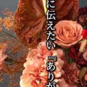 ヒメ日記 2026/02/10 13:55 投稿 千草(ちぐさ) 渋谷蘭の会