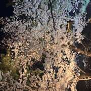 ゆあん 📢ゆあん復帰のお知らせ📢 イエローキャブ