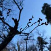 ヒメ日記 2026/02/03 23:40 投稿 椿 ラン SUMIRE