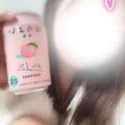 ヒメ日記 2025/10/04 00:17 投稿 ひま ちょこMOCA