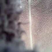 ヒメ日記 2025/11/06 17:27 投稿 ひま ちょこMOCA