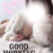 ヒメ日記 2025/11/17 09:17 投稿 ひま ちょこMOCA