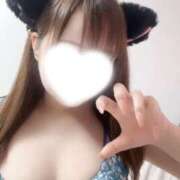 ヒメ日記 2025/11/20 12:23 投稿 ひま ちょこMOCA