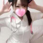 ヒメ日記 2026/01/29 12:07 投稿 ひま ちょこMOCA