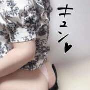 ヒメ日記 2026/02/28 17:07 投稿 ひま ちょこMOCA