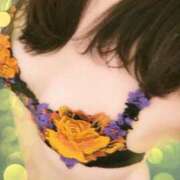 ヒメ日記 2025/11/22 12:29 投稿 しらとり 厚木人妻城