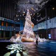 ヒメ日記 2025/12/03 10:19 投稿 しらとり 厚木人妻城